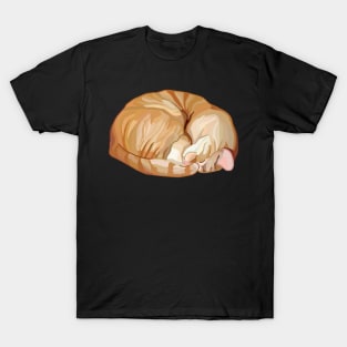 Sleeping Curled Orange Ginger Tabby Cat T-Shirt